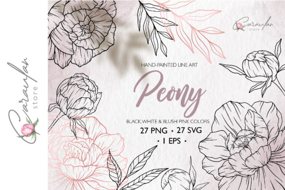 Download Peonies Line Drawing, Floral Line Art - Line art Collection
