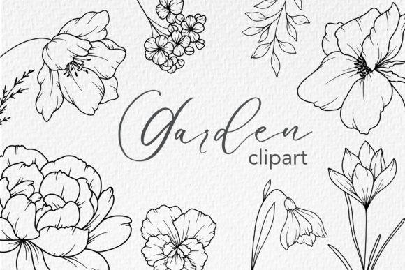 Download FLOWERS LINE DRAWING, Floral Line Art - Line art Collection