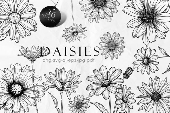 Download Daisy Line Art Drawing SVG - Line art Collection
