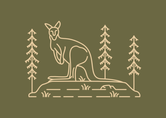 Download Wild Kangaroo Australian Animal - Wild Collection